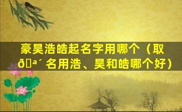 豪昊浩皓起名字用哪个（取 🪴 名用浩、昊和皓哪个好）